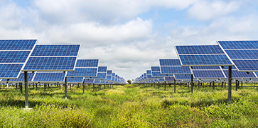 KUA Signs City of Kissimmee As First Subscriber for Community Solar Project